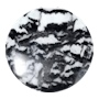 Zebra Jasper