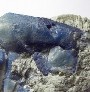 Apatite & Iolite & angelite