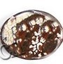 Leopard Agate