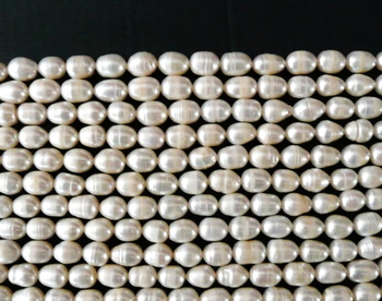 100% natural White Fresh Water freshwater Pearls rice drum 10x8mm AAA