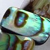Abalone
