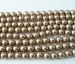 high quality rainbow light brown south sea shell Pearl round 10mm AAAA