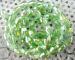 L Green Crystal drum faceted 8x6mm AAA R