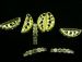 clear gold Plated Crystal Rhinestone half round Spacer 3 holes bar Beads 20x8x4mm AAA