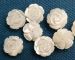 2p white mother of pearl shell hand carved rose flowers 15mm AAA half-drilled