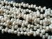 100% natural white Fresh Water freshwater Pearls teardrop 8x6mm AAA