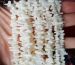 White Coral sticks branch nuggets 14x5mm AAA