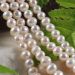 100% natural White Fresh Water  freshwater Pearls  Pear near round oval 7x8mm AAA